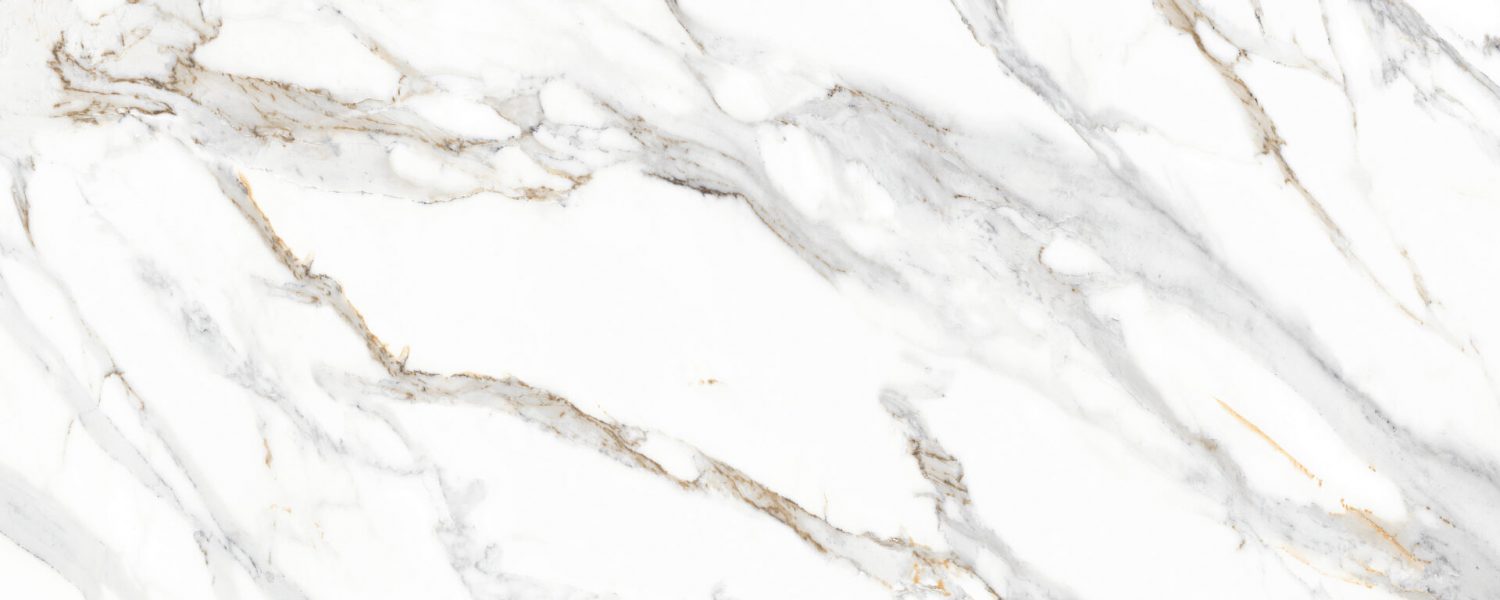 shutterstock_11773083821 shutterstock_11773083821