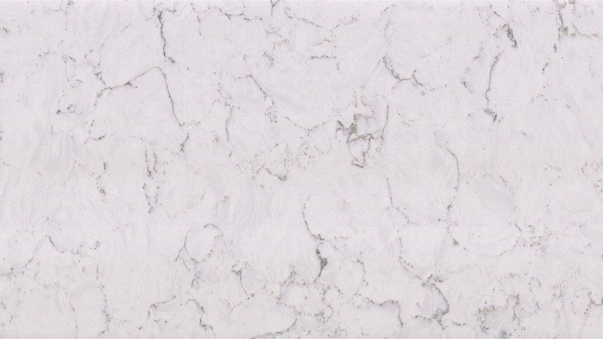 Tiara-White-Quartz-Wholesale-Coante-Range (1)